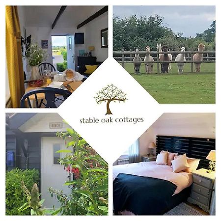 Birch Cottage With Private Wood Fire Hot Tub Harrietsham Extérieur photo