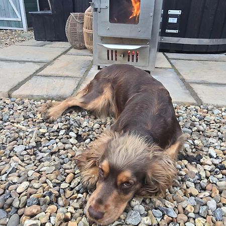 Birch Cottage With Private Wood Fire Hot Tub Harrietsham Extérieur photo